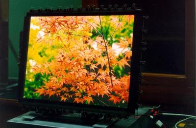 沉痛哀悼孙鉴教授